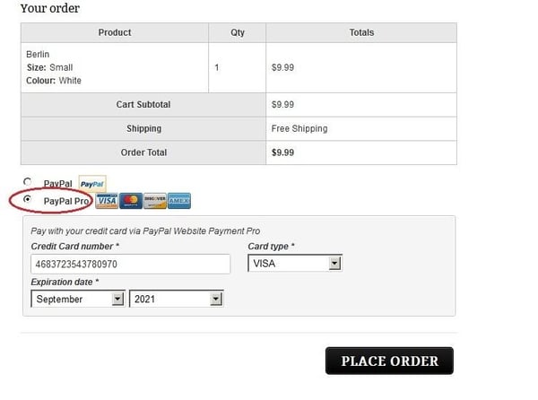 Front-end user entering payment info on site with Paypal pro payment module plugin installed