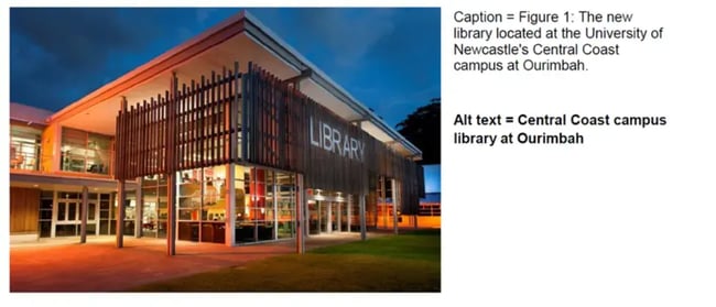 Adding an alt text to an image