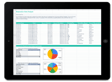 Spreadsheet displaying responsive data analysis, including a list of companies with their corresponding emails, amounts, and cancellation statuses, accompanied by colorful pie charts for visual representation of data distribution.