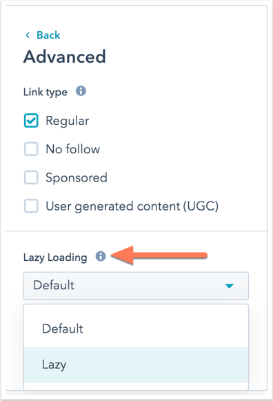 lazy-load-for-inserted-image