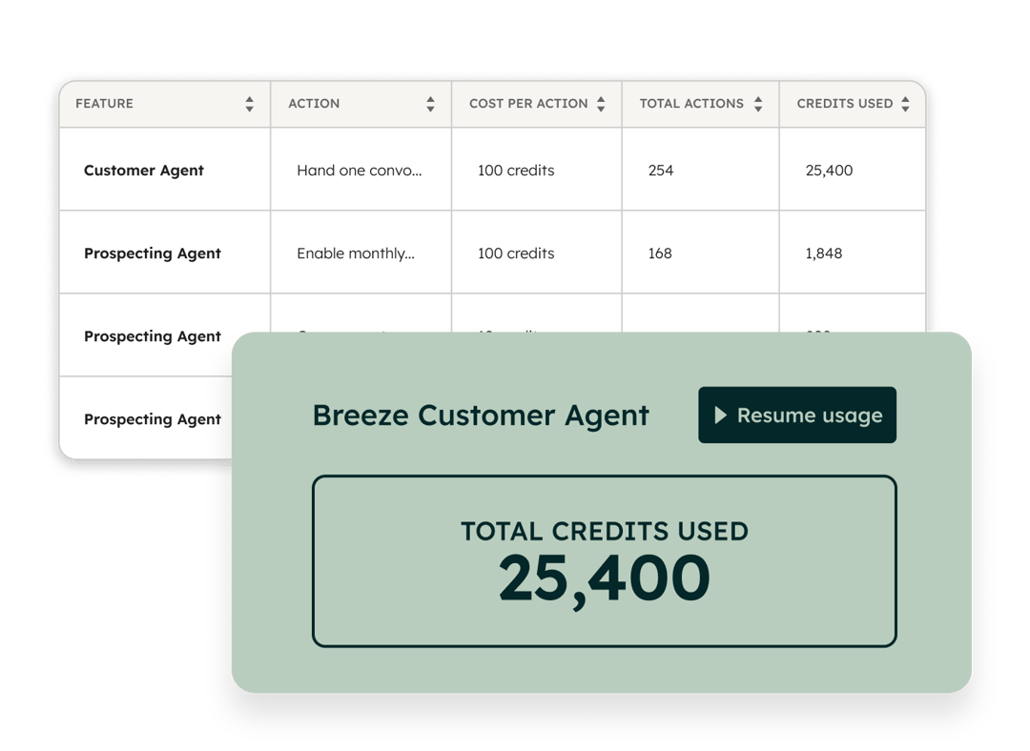 Dashboard mit dem Gesamtverbrauch und einer Aufschlüsselung des Guthabenverbrauchs für verschiedene KI-Funktionen wie Customer Agent und Prospecting Agent.