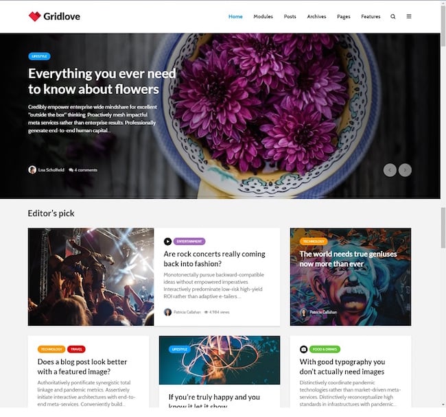 best pinterest-style WordPress theme: GridLove