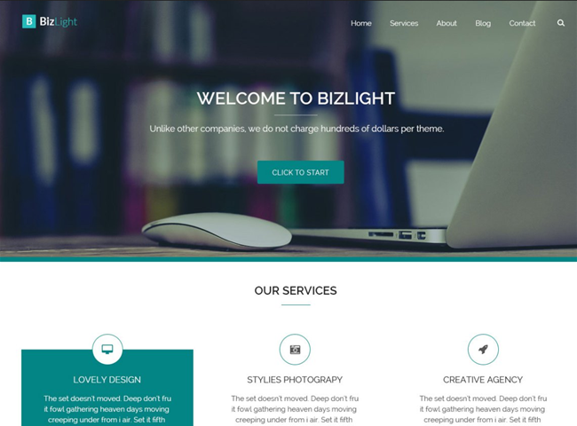 bizlight