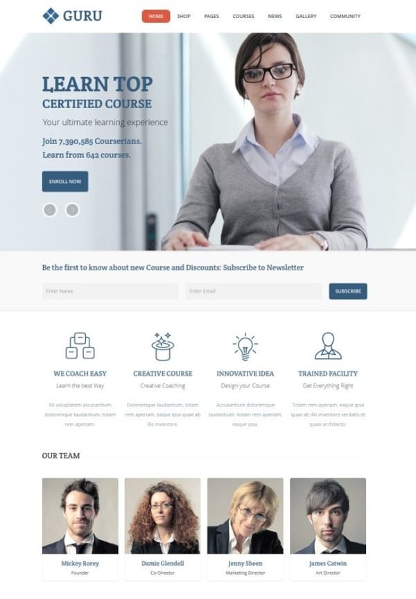 guru WordPress theme