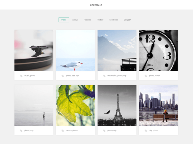 portfolio theme