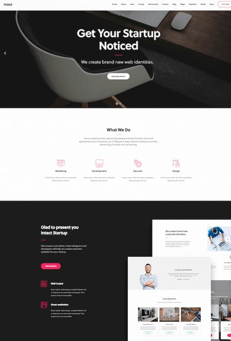 Intact WordPress theme demo for tech startups