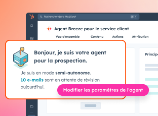 Customer Agent