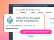 HubSpot Customer Agent