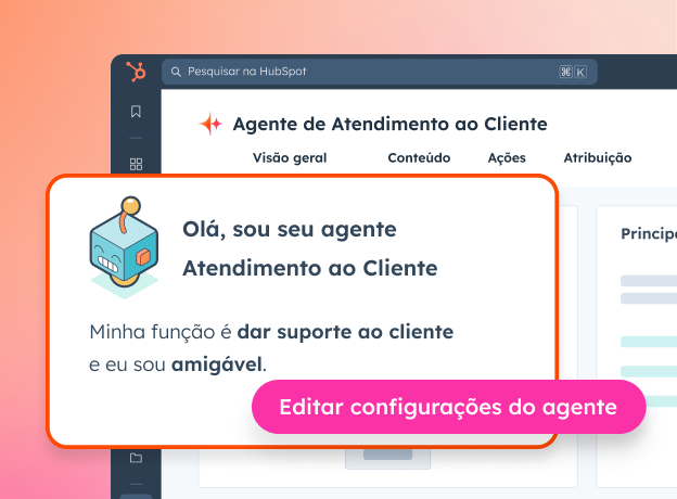 Customer Agent 