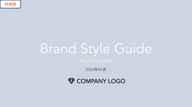 style_guide
