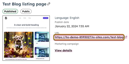 Die Seite mit den Blog-Listing-Details wird angezeigt. Um die URL herum wird ein Feld platziert.