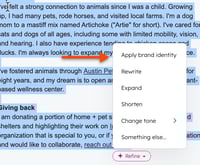 A screenshot showing how to apply brand identity.