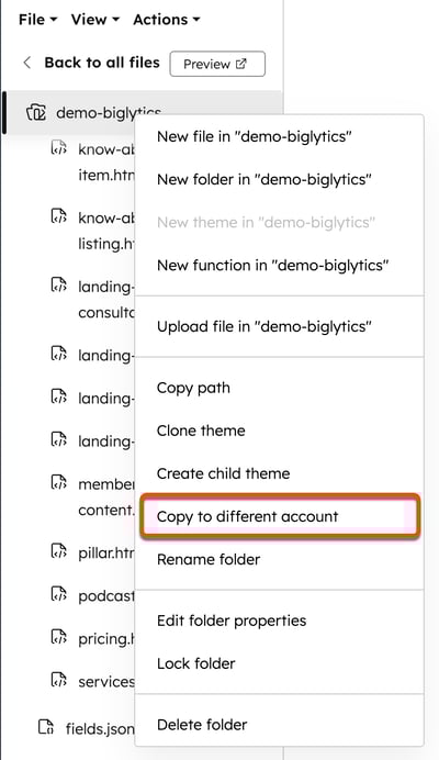 In the design manager, within the finder, a theme is right-clicked and in the menu a box is placed around the Copy to different account option.