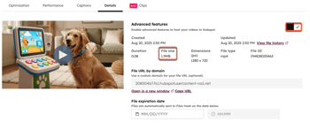 File details for an example video file, highlighting the Advanced features setting and the file size.