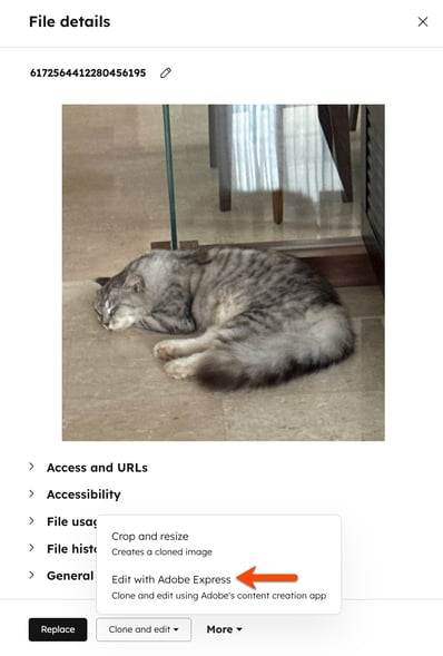 files-adobe-express-edit-existing