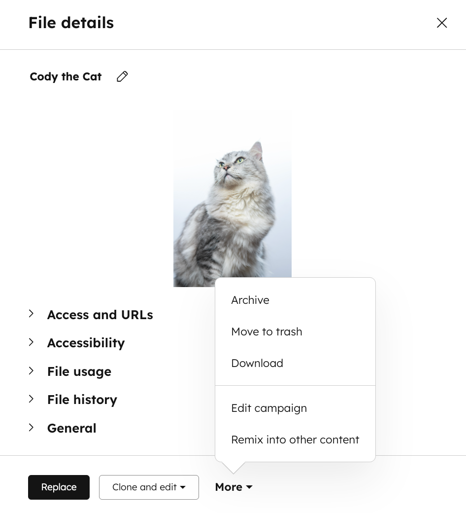 Manage individual file details