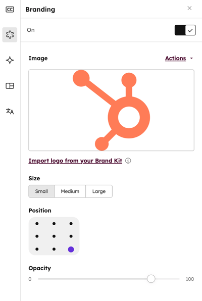files-edit-video-branding