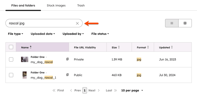 files-search-filter