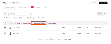 files-update-visibility-bulk