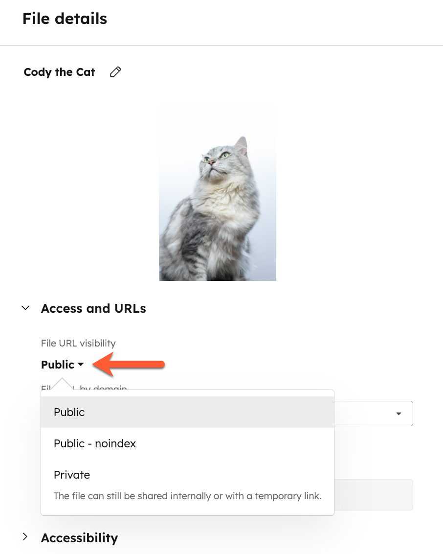 Manage individual file details