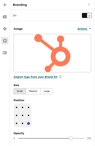 files-video-branding-tab