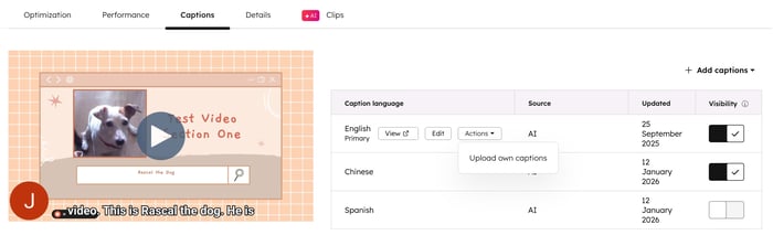 files-video-captions-control