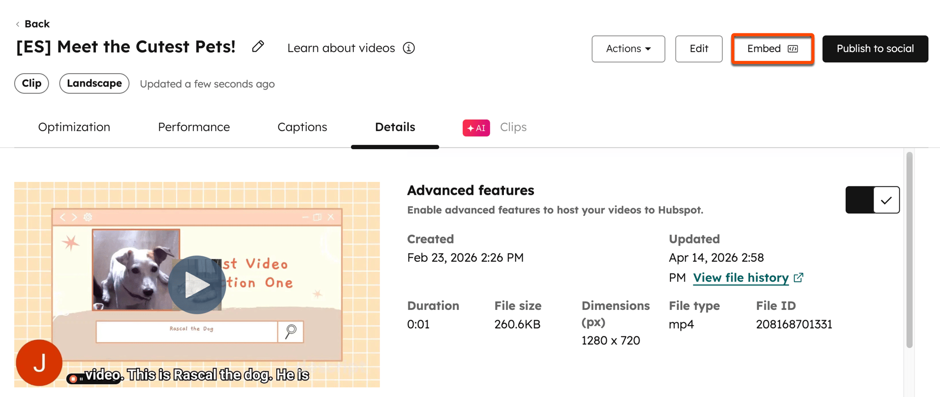files-video-embed