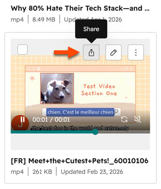 files-video-share-icon