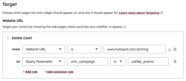 Screenshot of the chatflow Target tab, showing Website URL targeting rules.