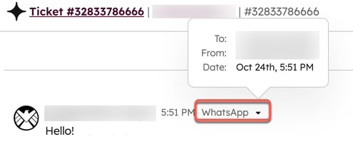 ヘルプデスクビュー-WhatsApp-メッセージ-編集者
