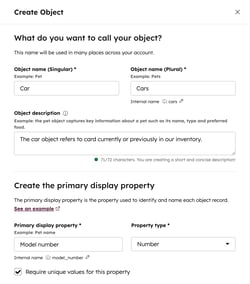 Custom object configuration settings, showing example values for creating a custom object and setting primary display properties.