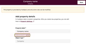 Company name property settings, highlighting the property's internal name value.