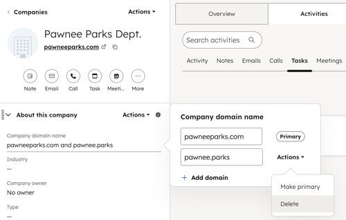 A company record, showing the option to select the company domain name property and delete an additional domain.