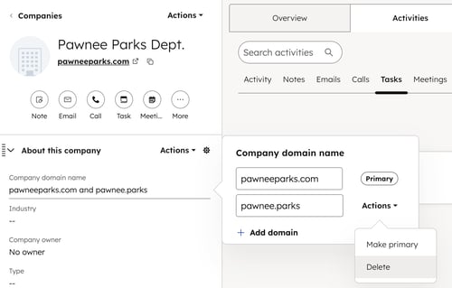 A company record, showing the option to select the company domain name property and delete an additional domain.
