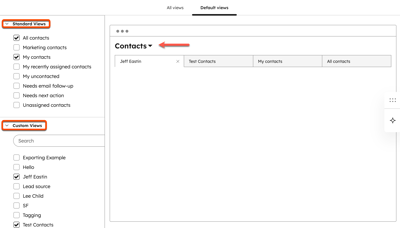 Saved views screen showing Standard Views and Custom Views lists on the left and the selected Contacts view displayed on the right