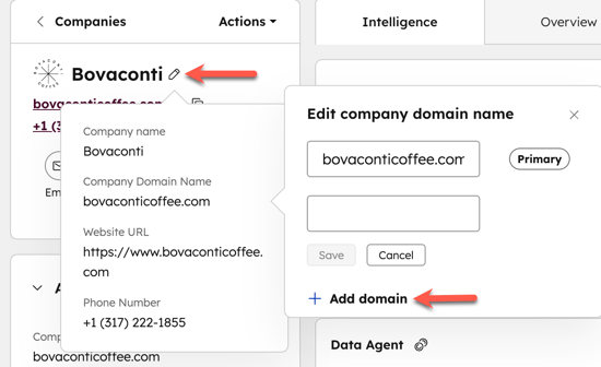 Edit company domain name pop-up box showing the Add domain option used to add an additional domain to a company record.