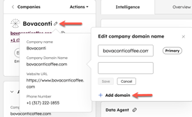 Edit company domain name pop-up box showing the Add domain option used to add an additional domain to a company record.