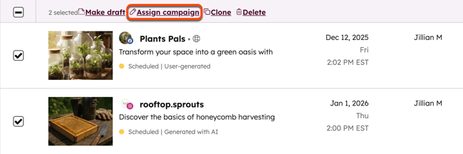 Social post table, highlighting the option to assign a campaign to the posts in bulk.