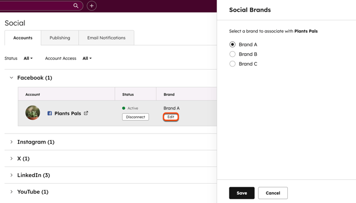 Social account settings, displaying the option to assign a social account to a specific brand.