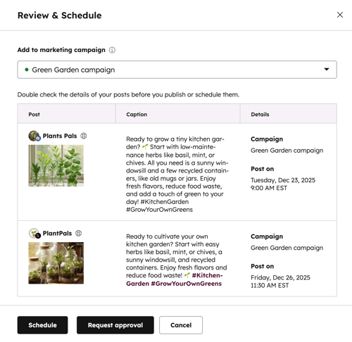 social-review-and-schedule-social-post