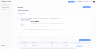 screenshot showing how to retrieve a Gemini API key.