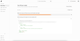 screenshot showing how to retrieve an xAI API key.