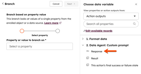workflows-action-data-agent-branches