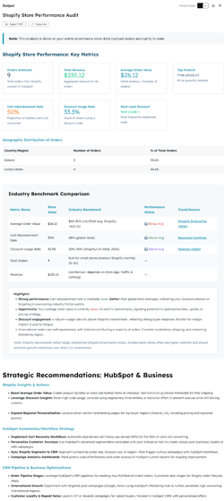 screenshot showing the audit output by the Shopify store performance agent.