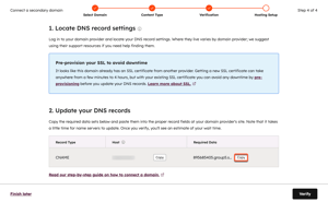 Domain connection configuration, highlighting how to copy required DNS data for your DNS records.
