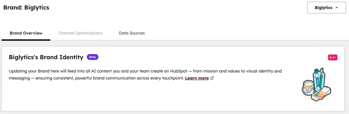 brand-biglytics-example