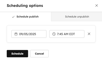 website-and-landing-pages-schedule-publish