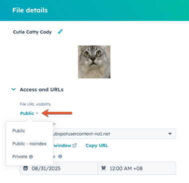 edit file visibility