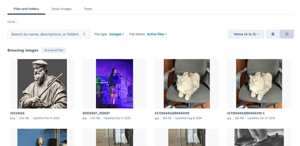 files-grid-view