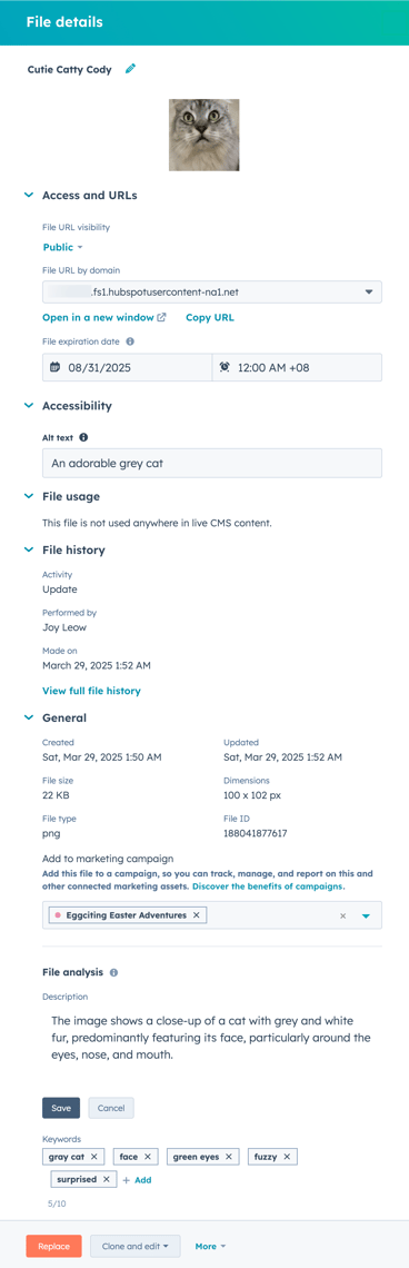 image file details